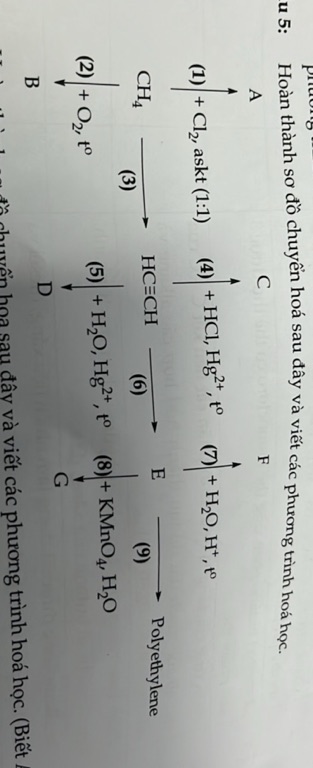 img-question-file