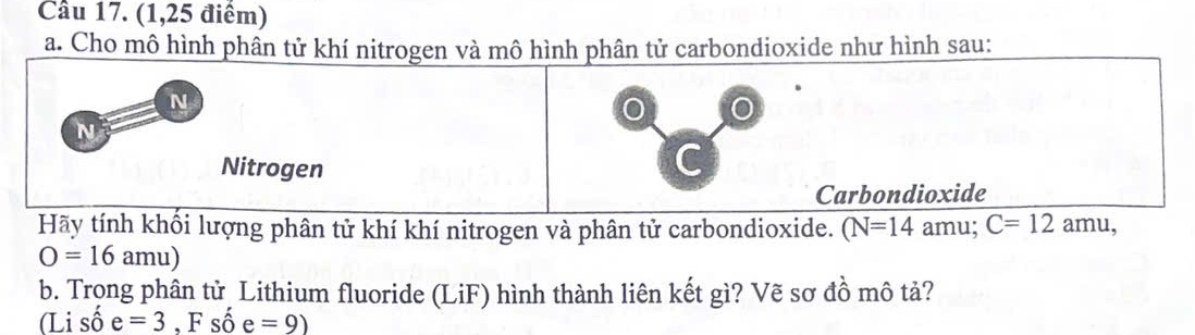 img-question-file
