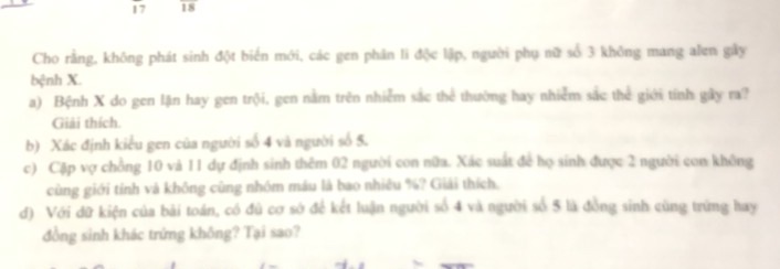 img-question-file
