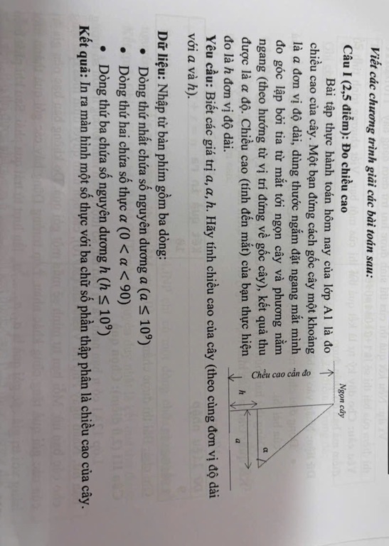 img-question-file