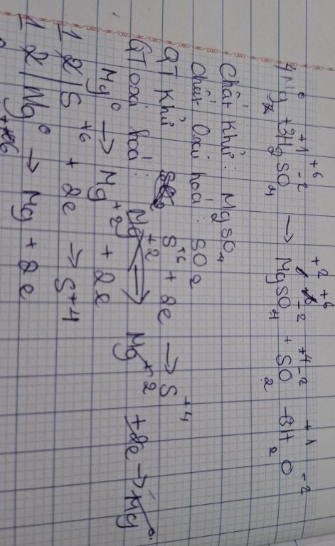img-question-file