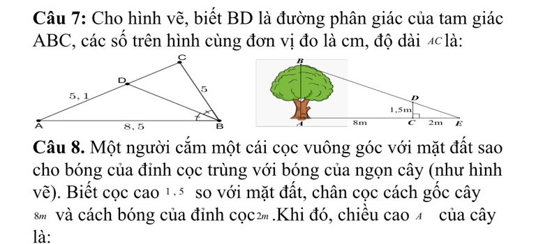 img-question-file