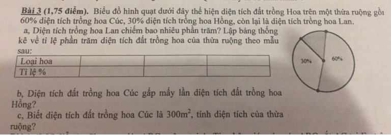 img-question-file