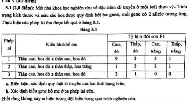 img-question-file