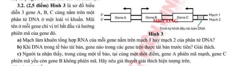 img-question-file