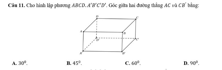 img-question-file