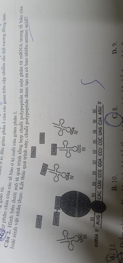 img-question-file