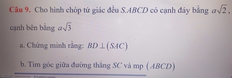 img-question-file