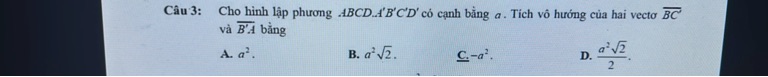 img-question-file