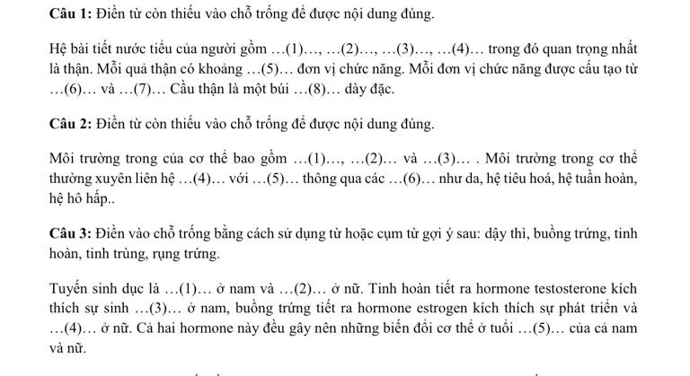 img-question-file