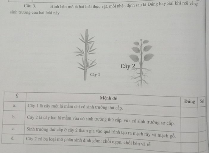 img-question-file