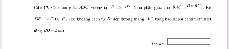 img-question-file