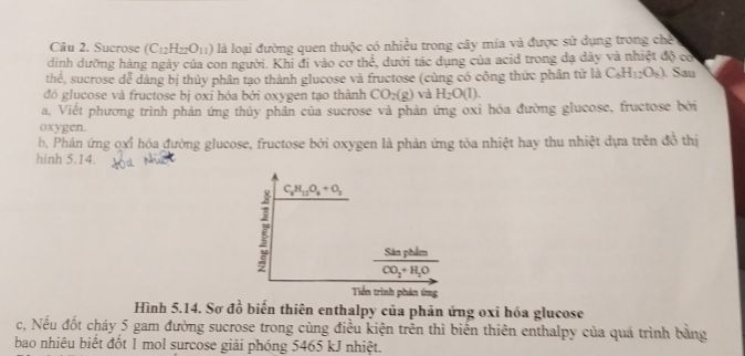 img-question-file
