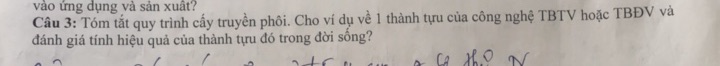 img-question-file