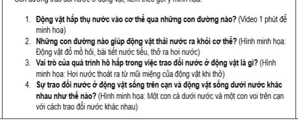 img-question-file
