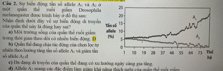 img-question-file