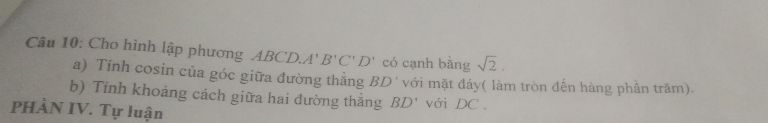 img-question-file