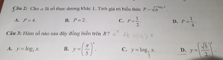 img-question-file