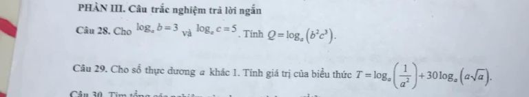 img-question-file