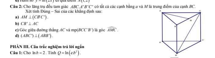 img-question-file