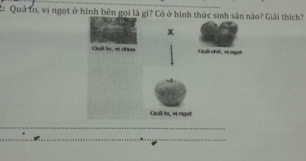 img-question-file