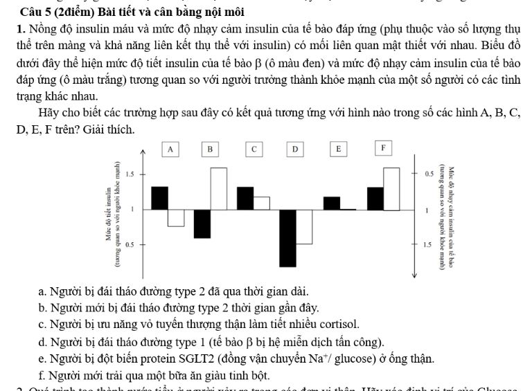 img-question-file