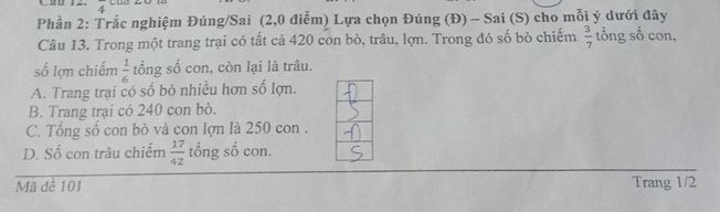 img-question-file