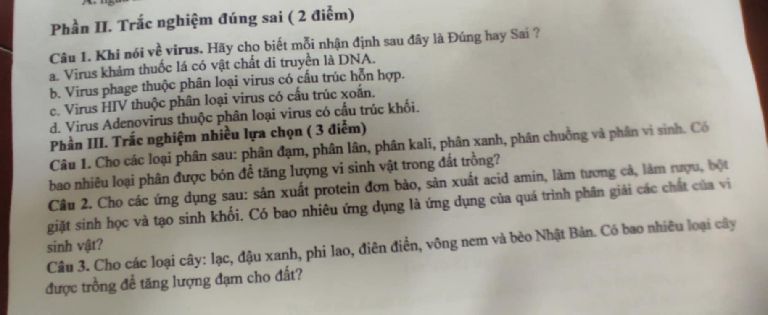 img-question-file
