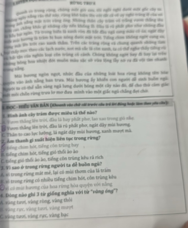 img-question-file