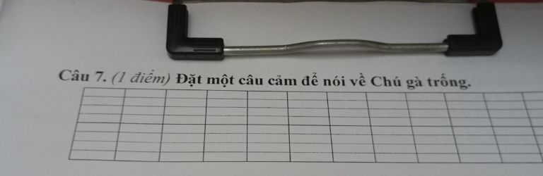 img-question-file
