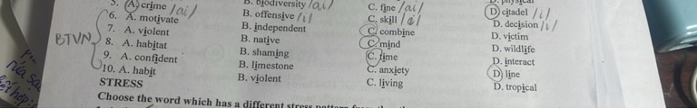 img-question-file