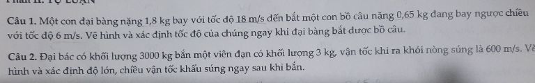 img-question-file