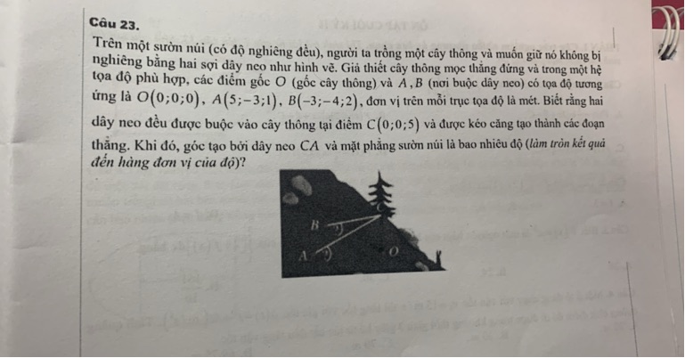 img-question-file