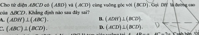 img-question-file