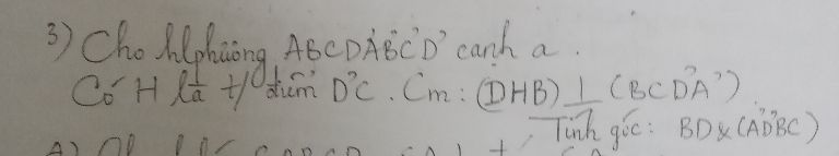 img-question-file