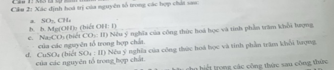 img-question-file
