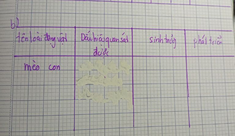 img-question-file