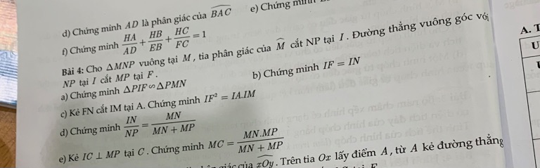 img-question-file