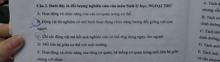 img-question-file