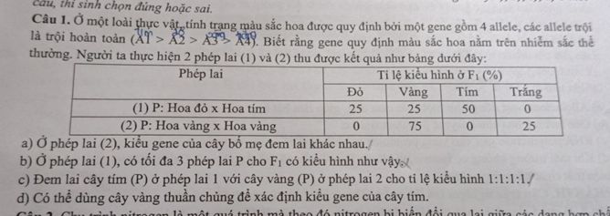 img-question-file