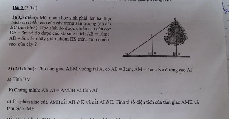 img-question-file