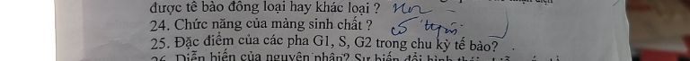 img-question-file