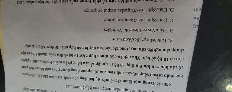 img-question-file