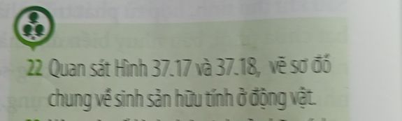 img-question-file