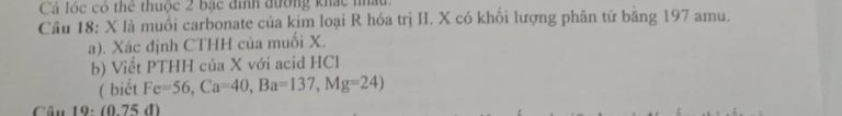 img-question-file