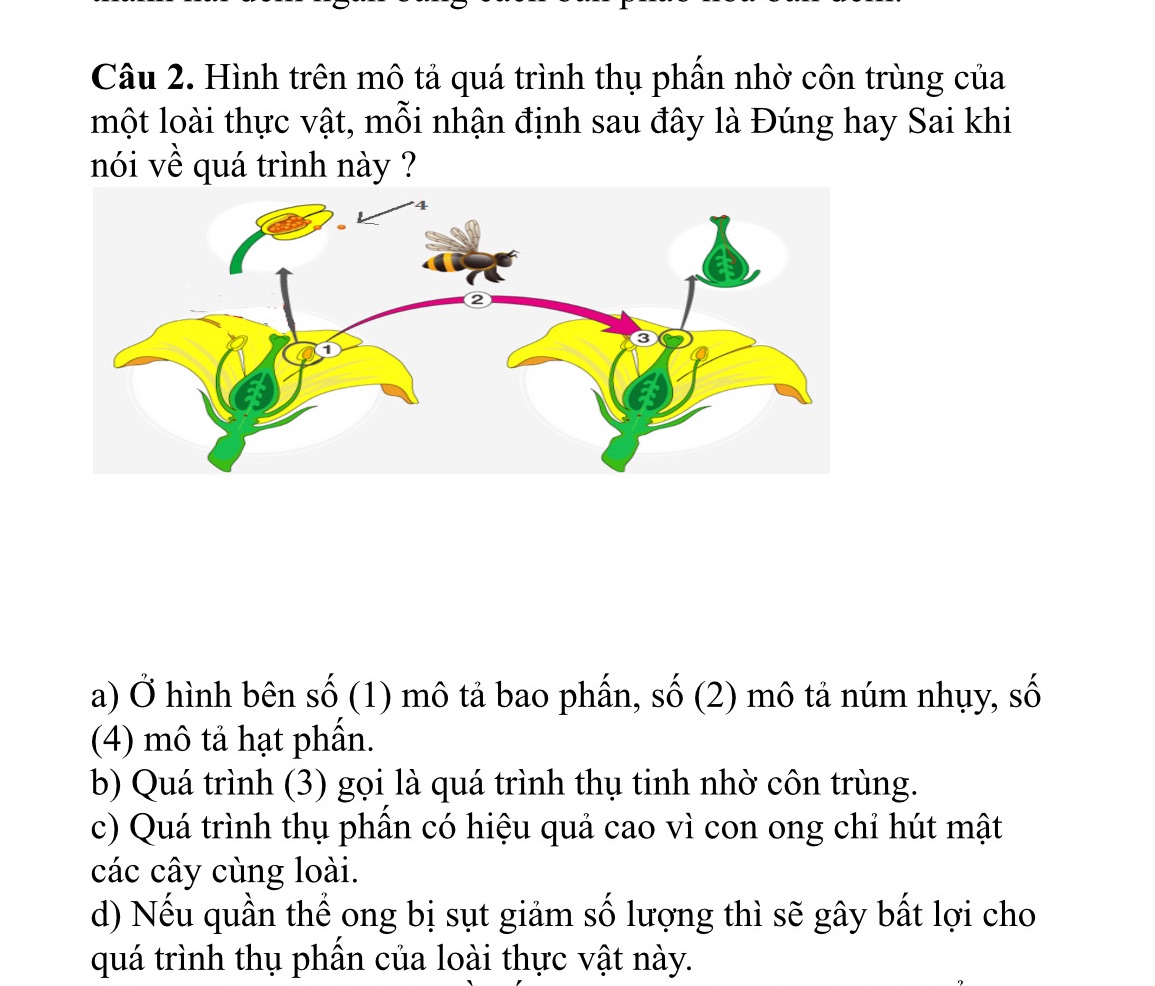 img-question-file
