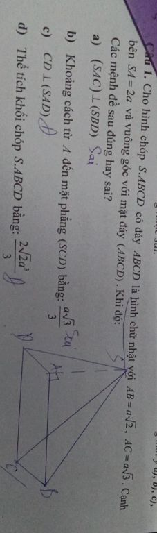 img-question-file