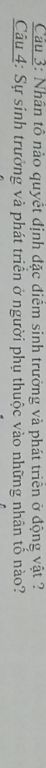 img-question-file