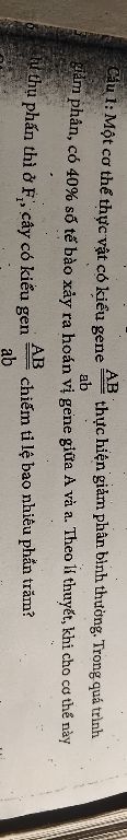 img-question-file
