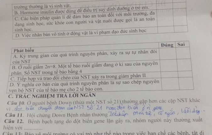 img-question-file
